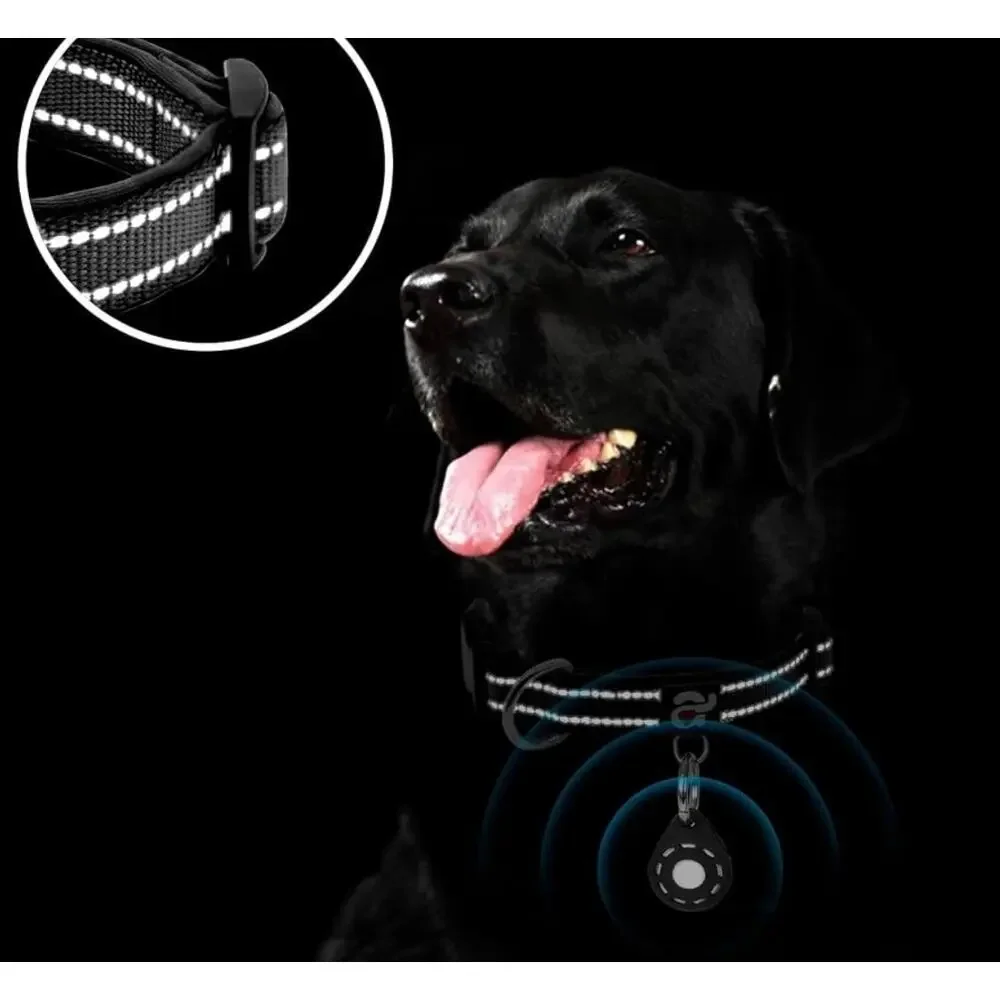 Small Dog Collar with Airtag Holder